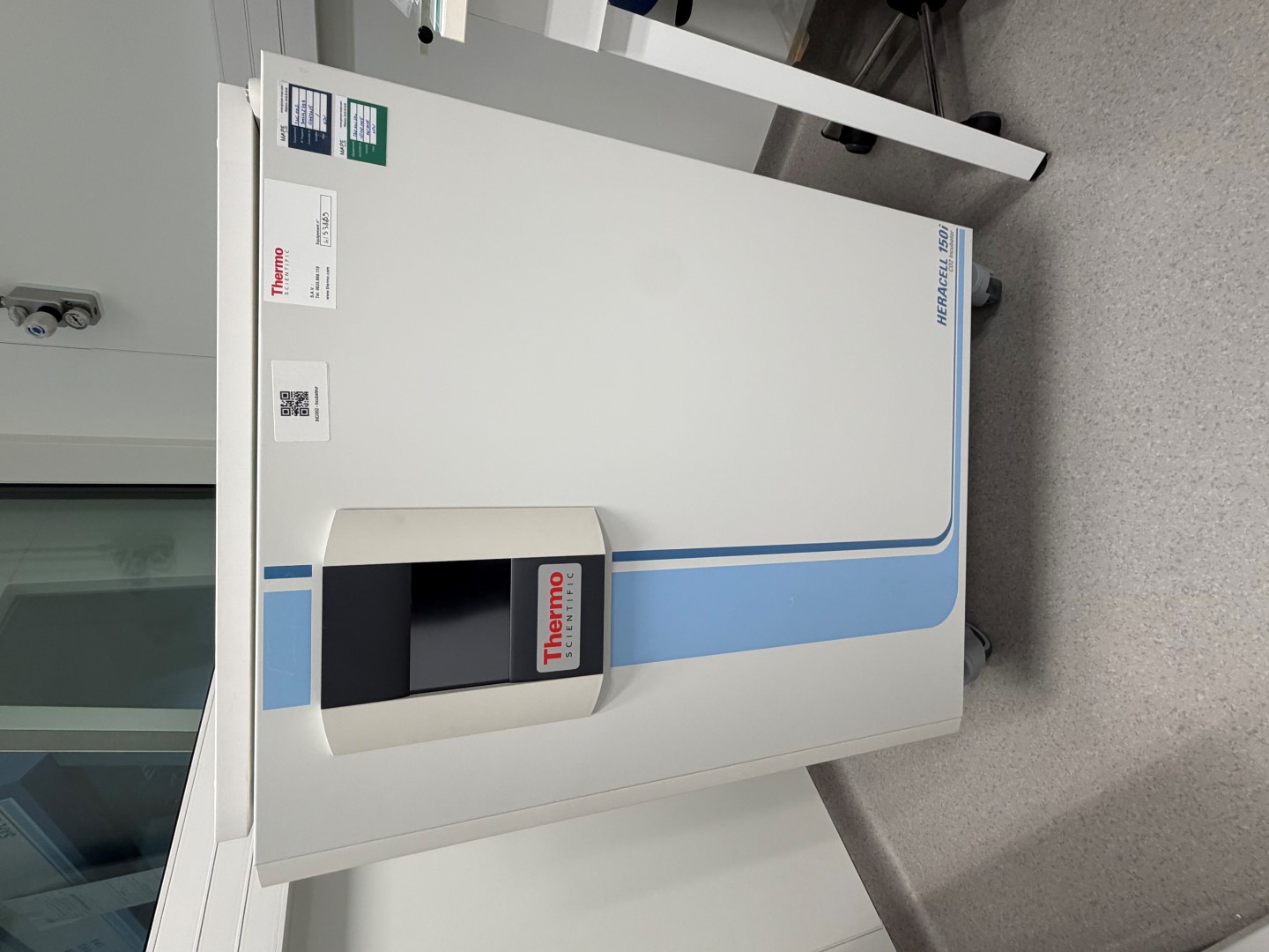 THERMO SCIENTIFIC HERACELL 150i - CO2 Incubator